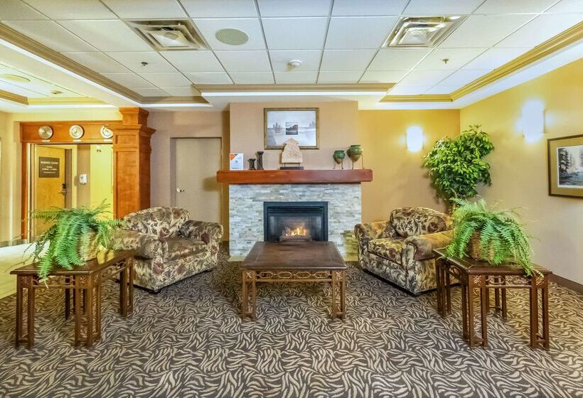 ホテル Comfort Inn & Suites