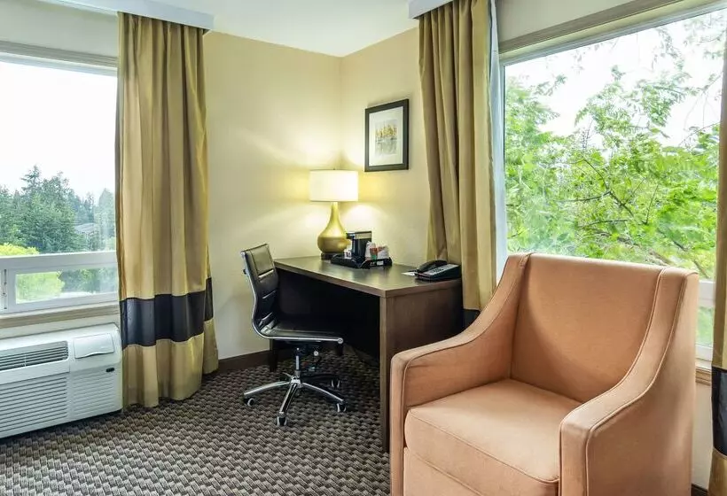 호텔 Comfort Inn & Suites