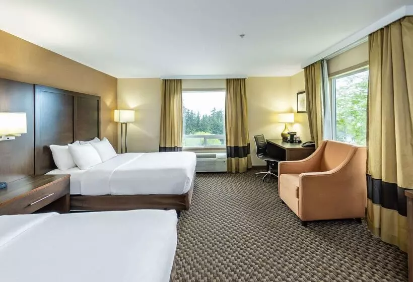 호텔 Comfort Inn & Suites