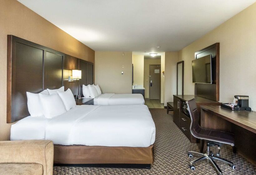 ホテル Comfort Inn & Suites