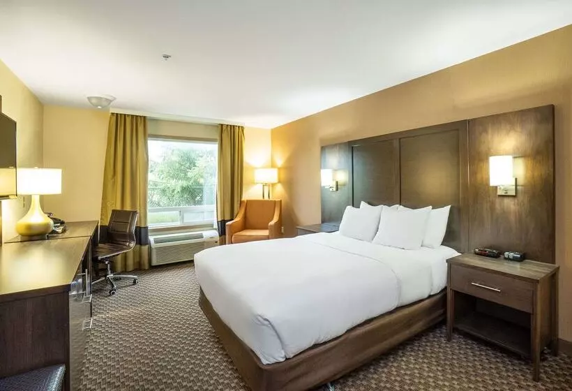 호텔 Comfort Inn & Suites