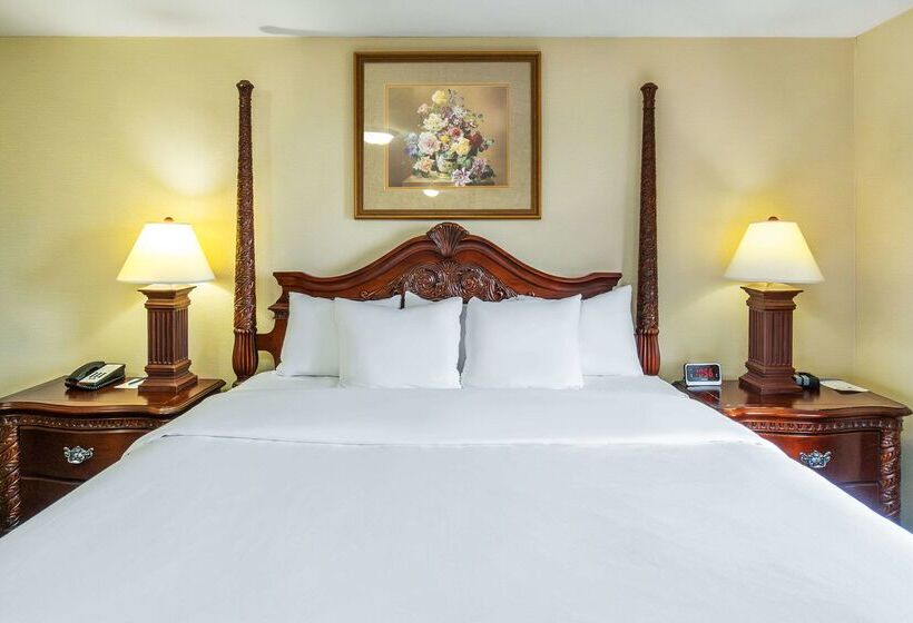 ホテル Comfort Inn & Suites