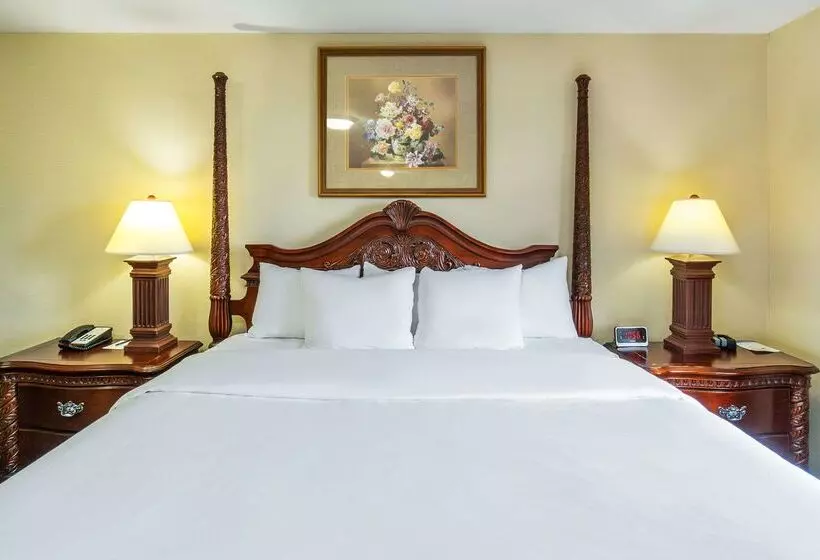 호텔 Comfort Inn & Suites