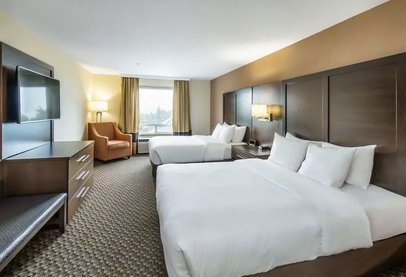 호텔 Comfort Inn & Suites