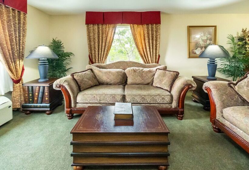 ホテル Comfort Inn & Suites