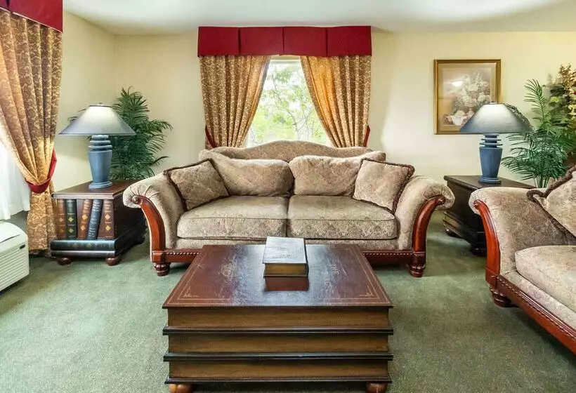 호텔 Comfort Inn & Suites