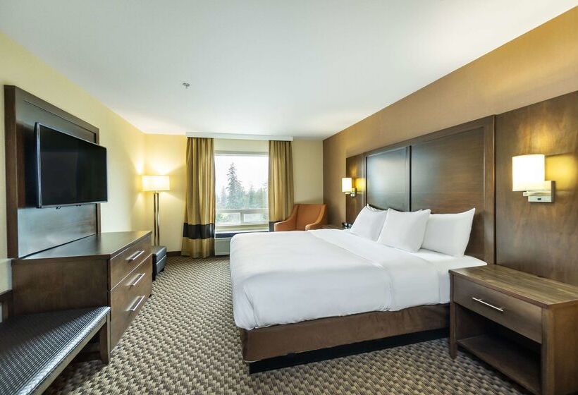 ホテル Comfort Inn & Suites