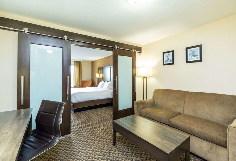 ホテル Comfort Inn & Suites