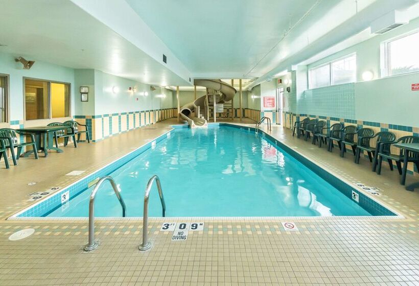 ホテル Comfort Inn & Suites