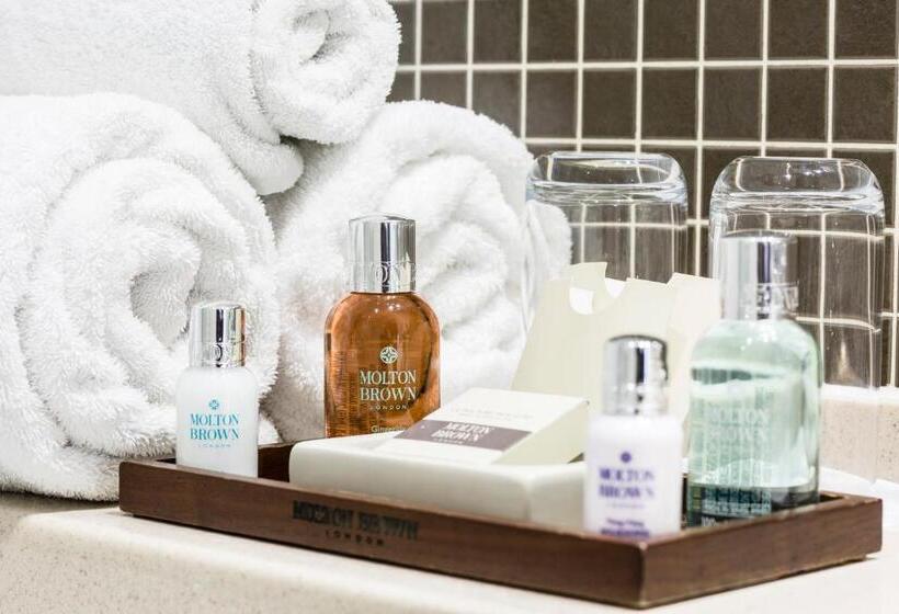 Отель Montagu Place