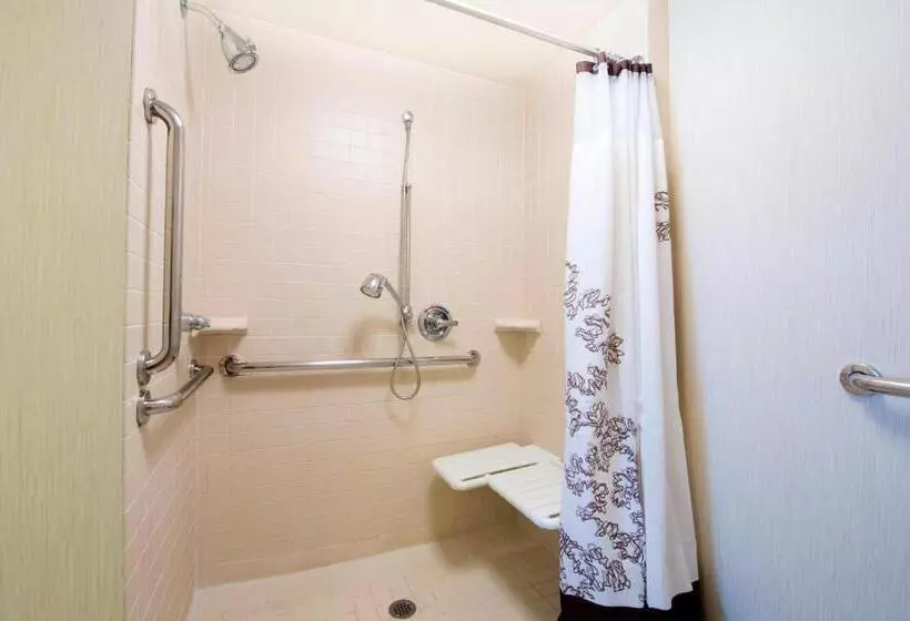 Отель Residence Inn By Marriott Mississaugaairport Corporate Centre West