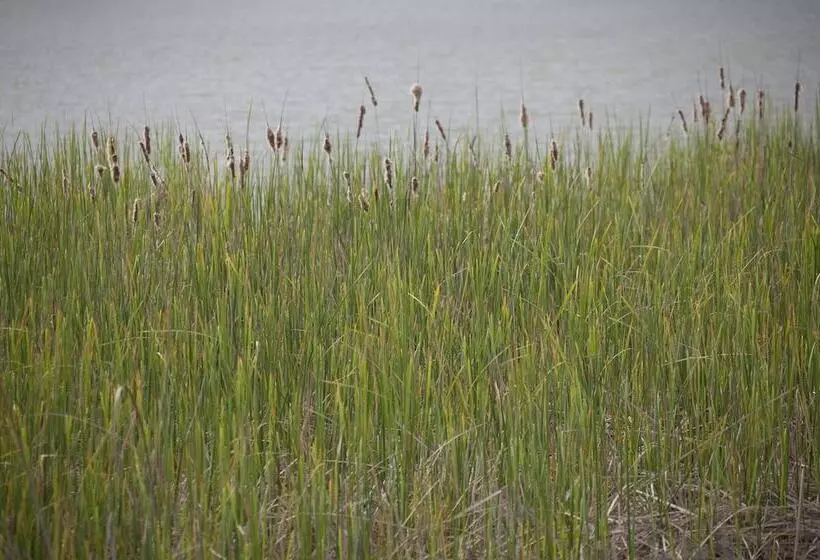 Отель Tenuta Casabianca