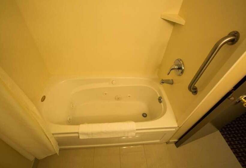 酒店 The Village Inn