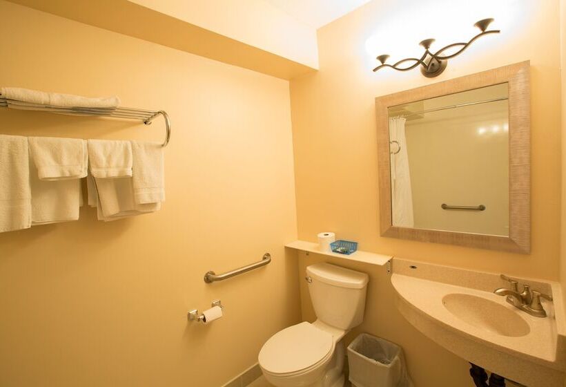 酒店 The Village Inn