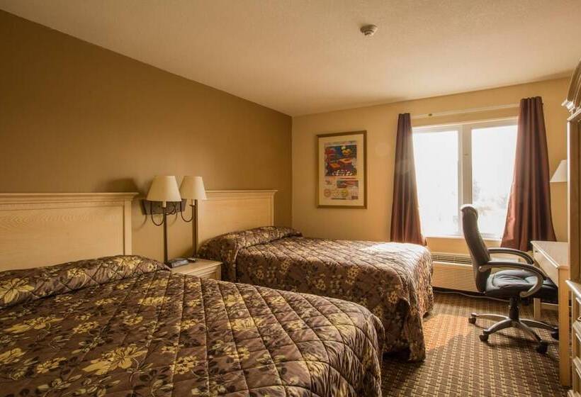 酒店 The Village Inn