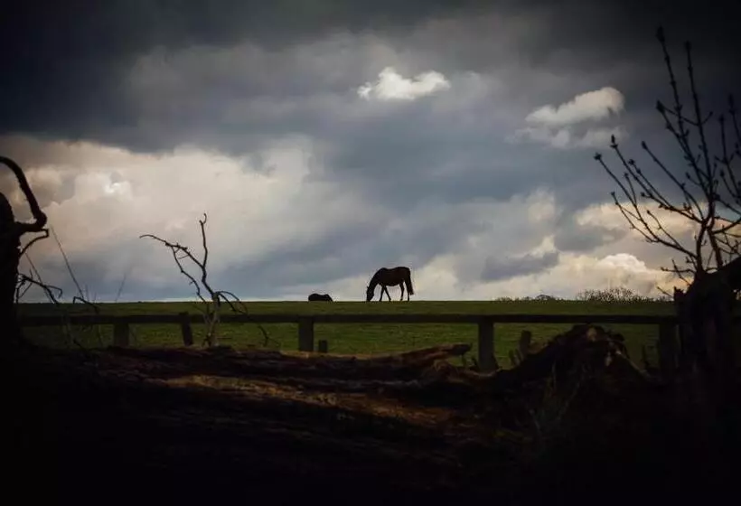 Отель The Woburn