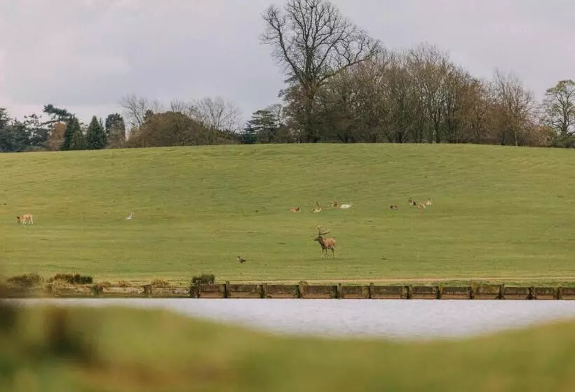 Отель The Woburn