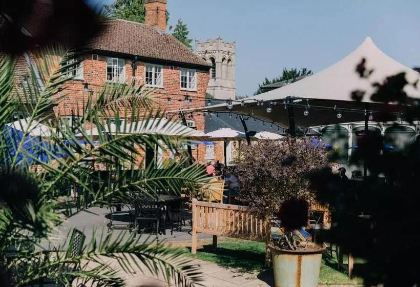 Отель The Woburn