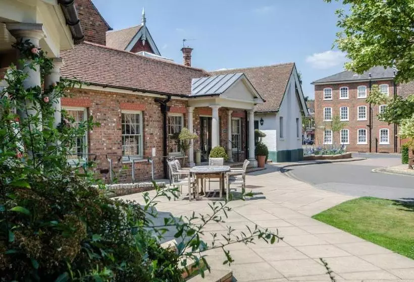 Отель The Woburn