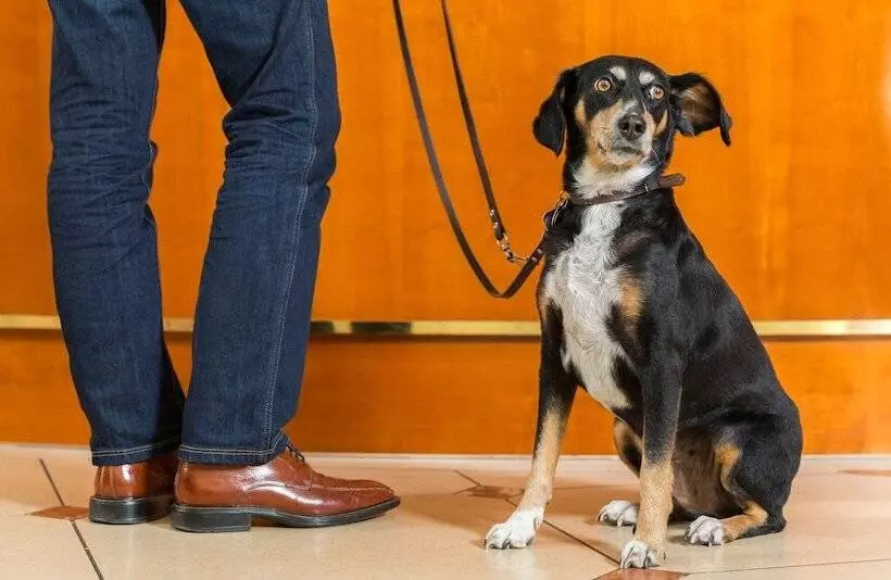 Victor S Residenz Hotel Saarbrücken