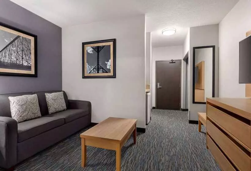 酒店 Wingate By Wyndham Lethbridge