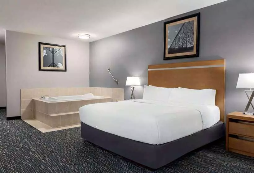 酒店 Wingate By Wyndham Lethbridge