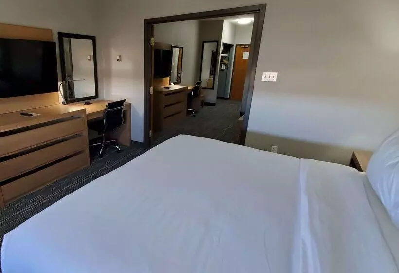 酒店 Wingate By Wyndham Lethbridge