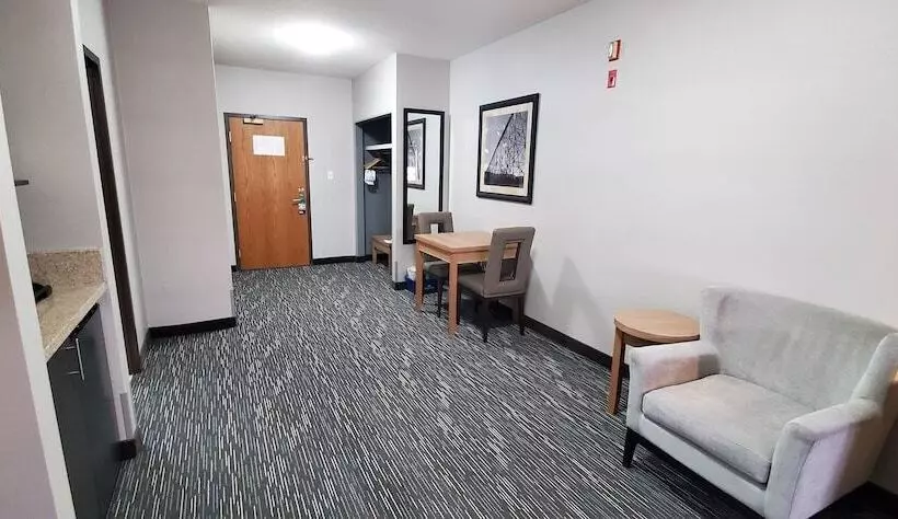 酒店 Wingate By Wyndham Lethbridge