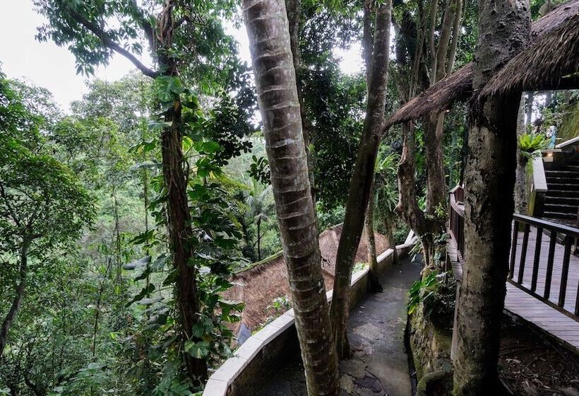 酒店 Natura Resort And Spa