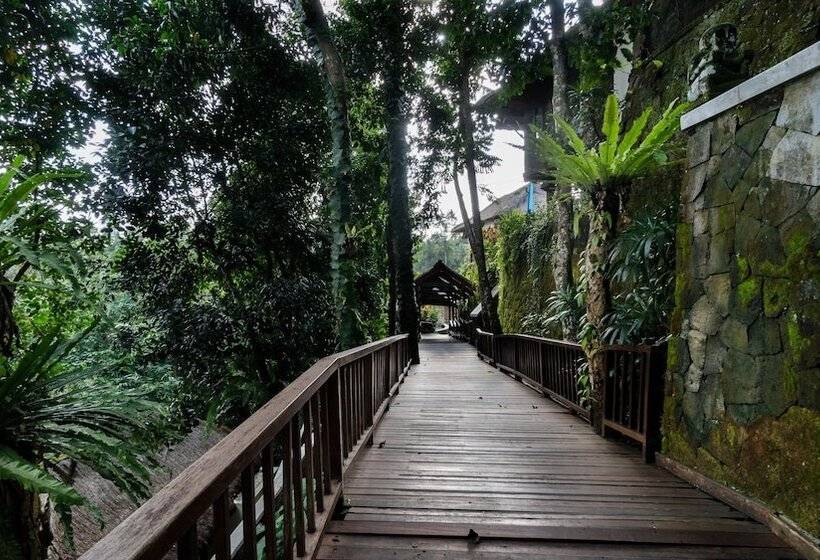 酒店 Natura Resort And Spa