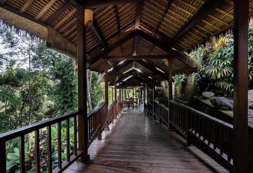 酒店 Natura Resort And Spa