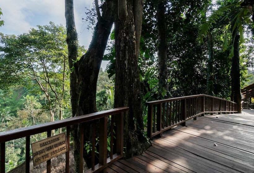 酒店 Natura Resort And Spa