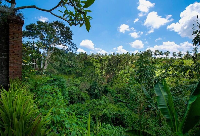 酒店 Natura Resort And Spa