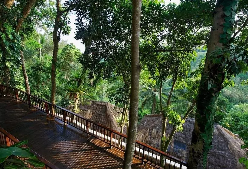 酒店 Natura Resort And Spa