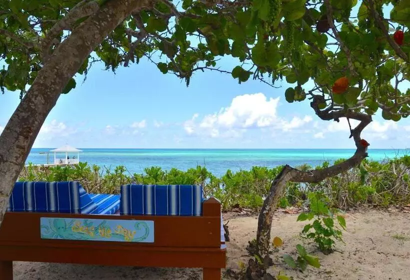 هتل Sandyport Beach Resort