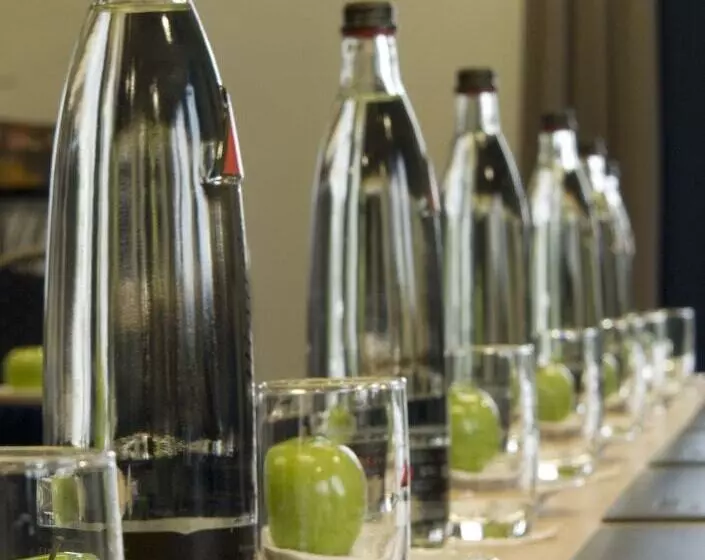 Trans World Hotel Kranichhöhe