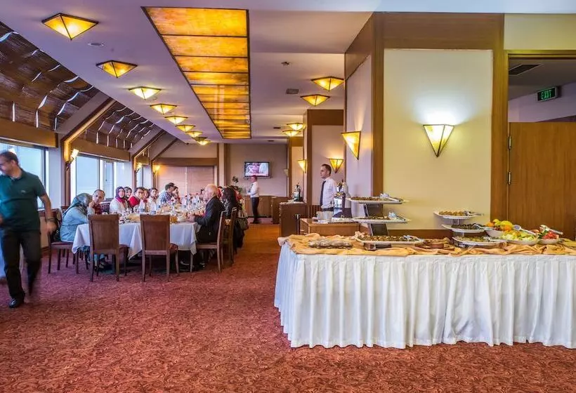 Отель Usta Park