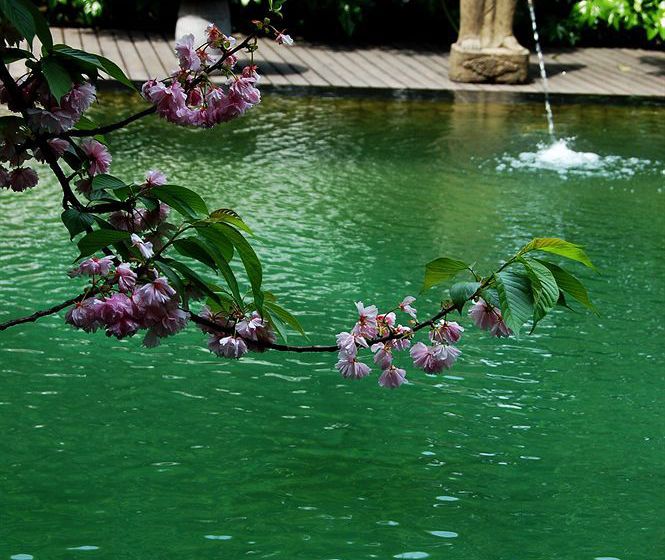 Отель Ssaw Boutique  Yiwu Trade City