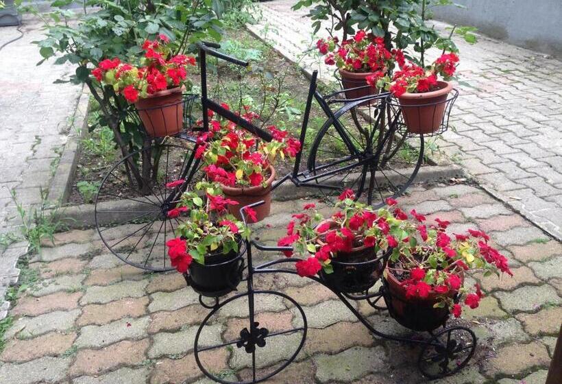 בית מלון כפרי Bonola