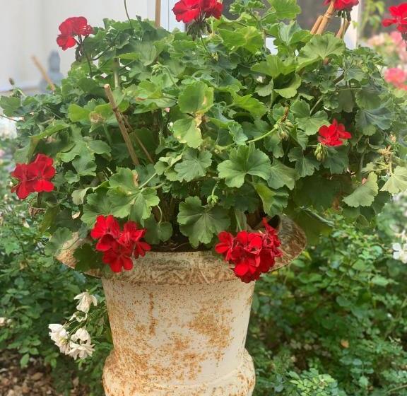 فندق Relais Villa Roncuzzi