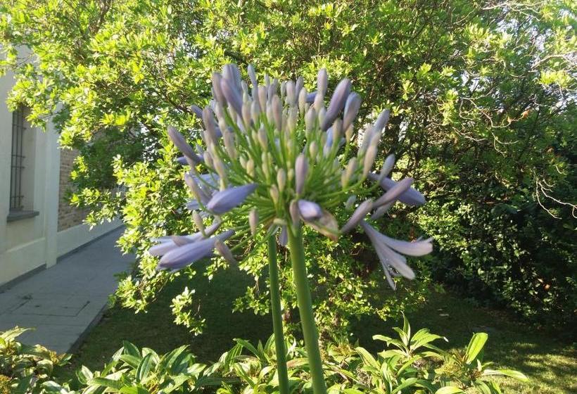 فندق Relais Villa Roncuzzi