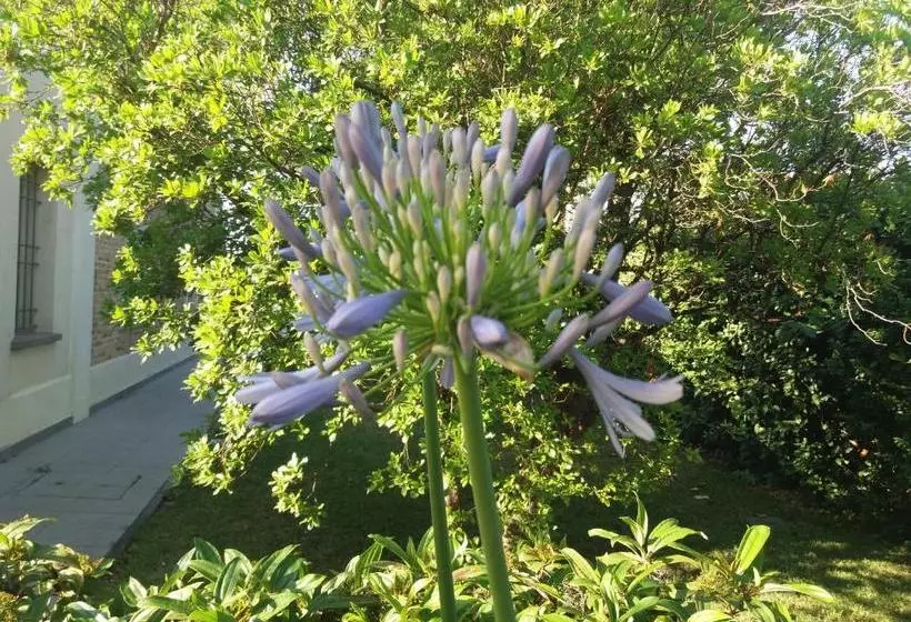 Отель Relais Villa Roncuzzi