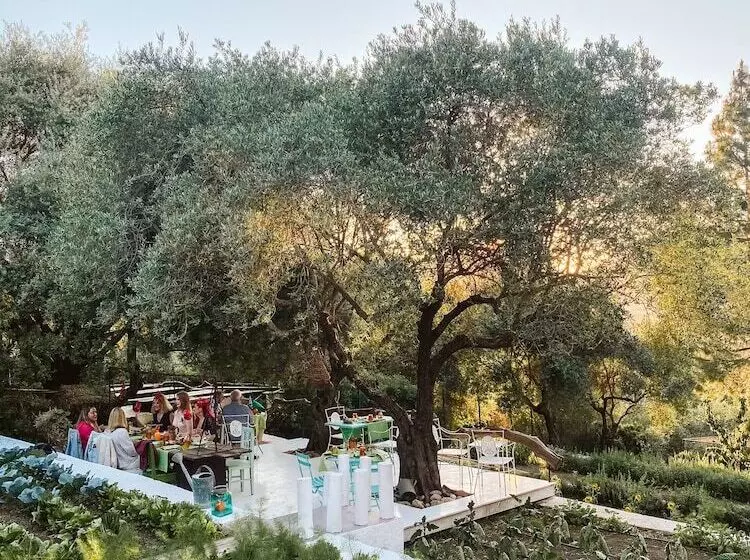 酒店 Su Gologone Experience