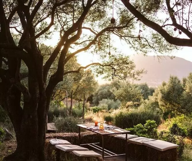 酒店 Su Gologone Experience