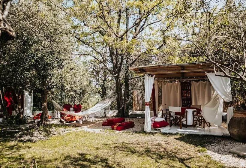 酒店 Su Gologone Experience