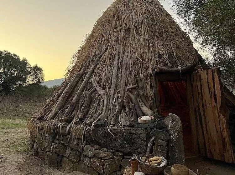 酒店 Su Gologone Experience