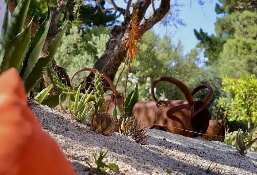 酒店 Su Gologone Experience