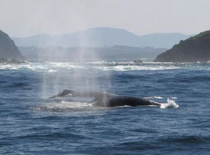 酒店 Boathouse Resort