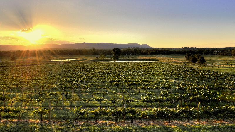 فندق Rydges Resort Hunter Valley