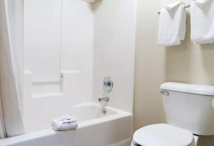 Pinedale Hotel & Suites